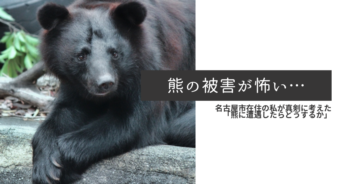 熊に遭遇したらどうするか